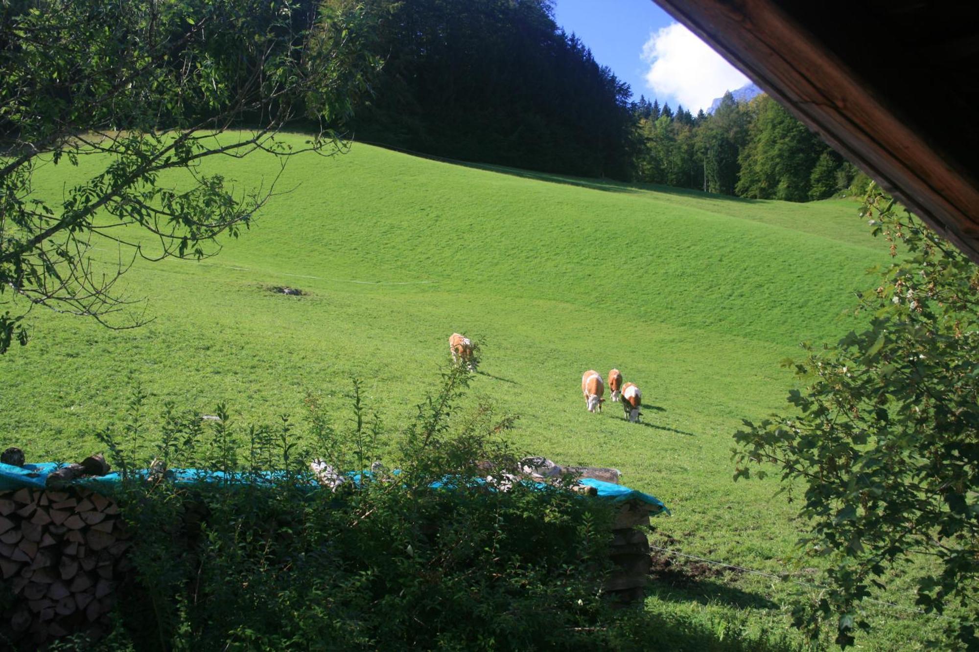 Alpenhotel Beslhof Ramsau bei Berchtesgaden Zewnętrze zdjęcie